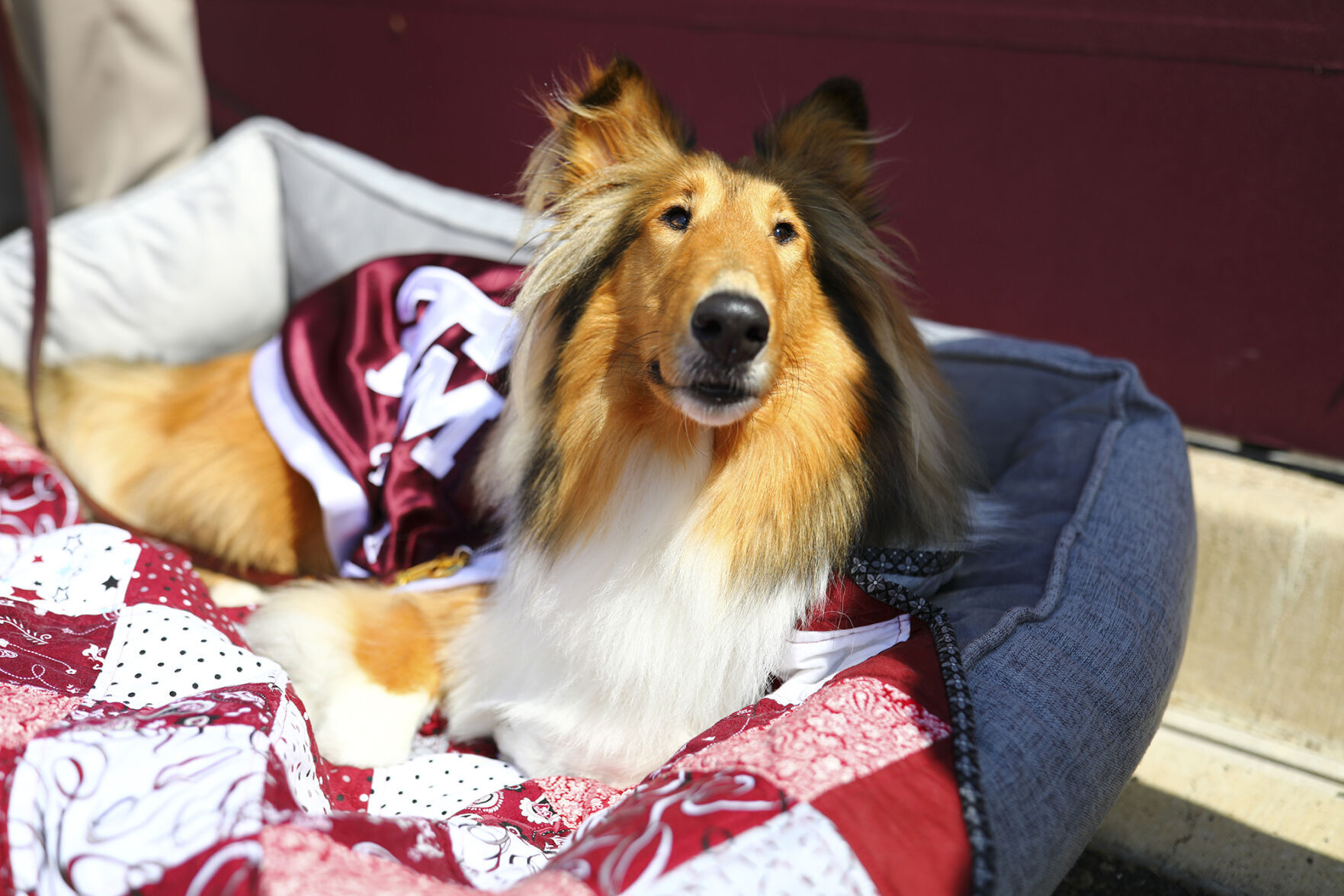 Reveille X